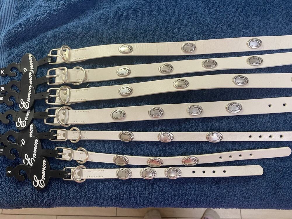 Penn State Nittany Lions White Leather Dog Collar With Conchos Multiple Sizes